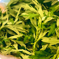 代理店のご案内