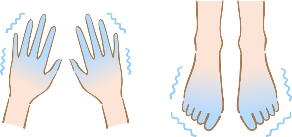 なぜ、私たちは特に手足に冷えを感じるの？