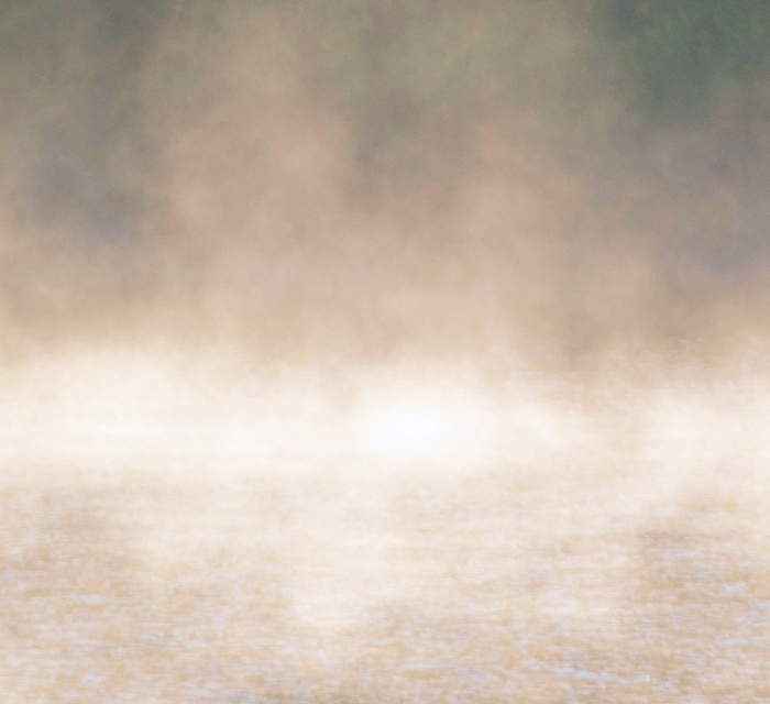 若草黄土よもぎ蒸しとは