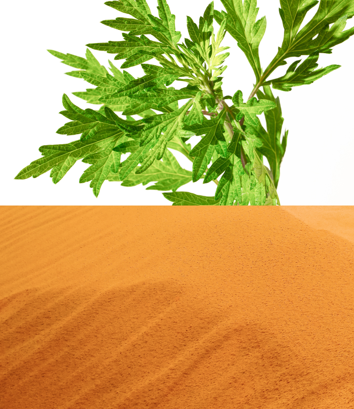 Domestic raw materials 安心と効果にこだわる