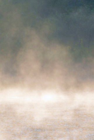 若草黄土よもぎ蒸しとは