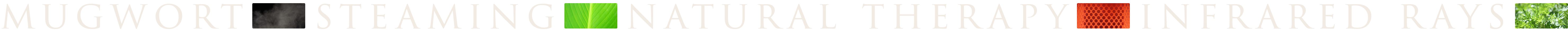 mugwort steaming natural therapy infrared rays