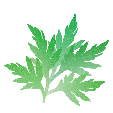 若草よもぎで内側からケア